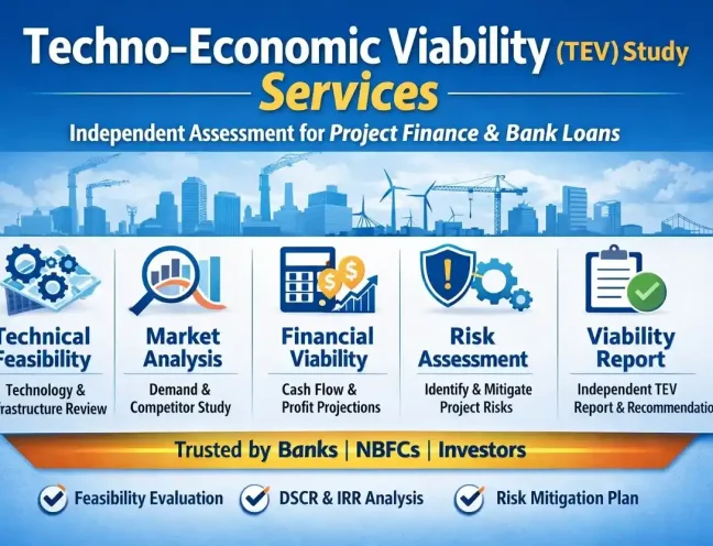 What Is TEV Study Report