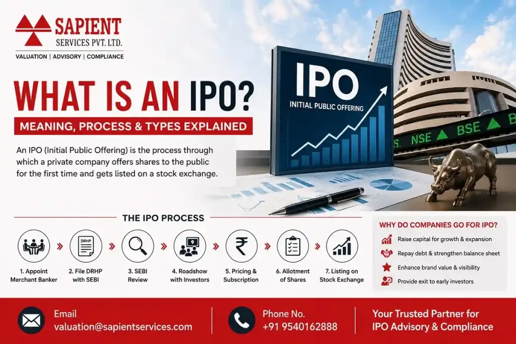What is an IPO