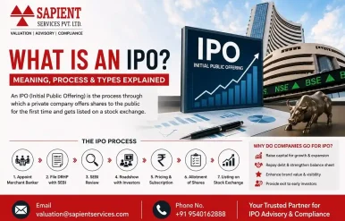 What is an IPO
