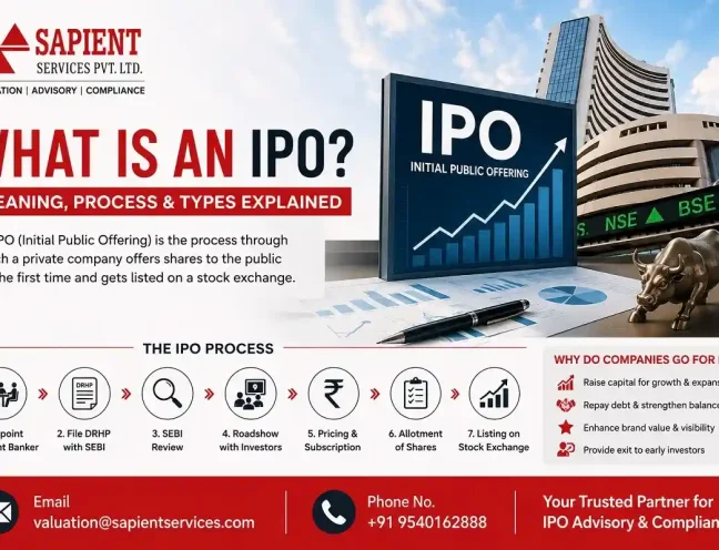 What is an IPO
