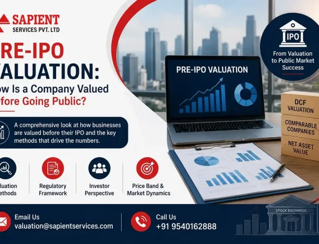 Pre-IPO Valuation